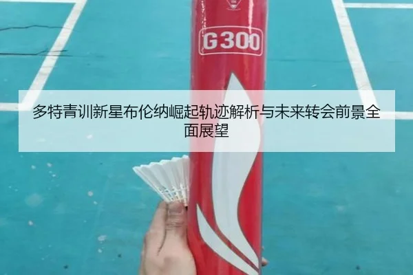 多特青训新星布伦纳崛起轨迹解析与未来转会前景全面展望