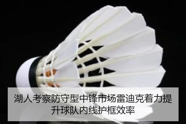 湖人考察防守型中锋市场雷迪克着力提升球队内线护框效率